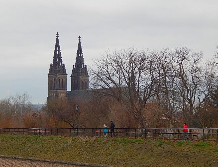 DSCN6944